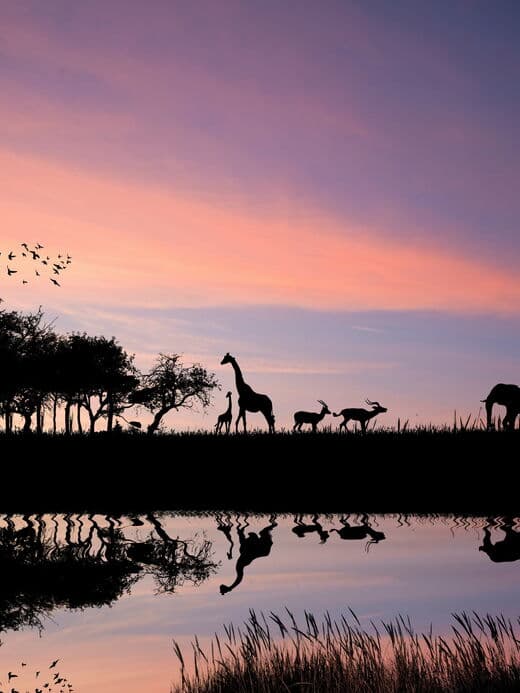 Танзания