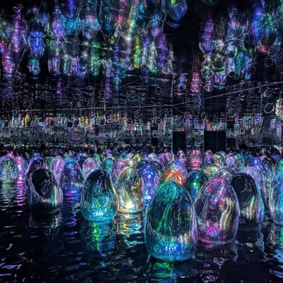teamLab Phenomena Абу-Даби