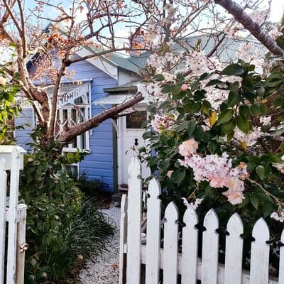 Лёра