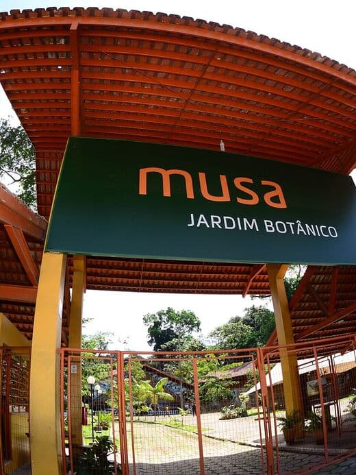 MUSA — Музей Амазонии