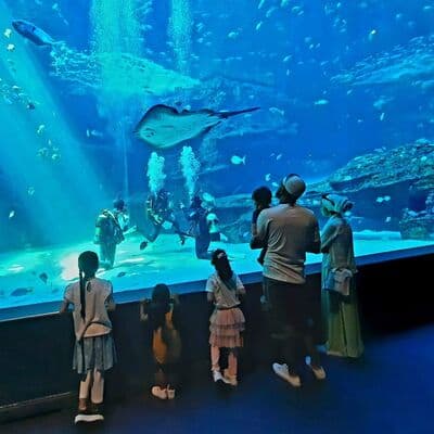 Аквариум Two Oceans